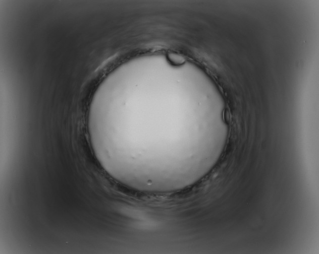 X0000083021158200703021956