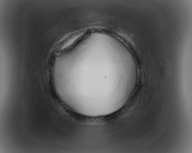 X0000083021159200703021956