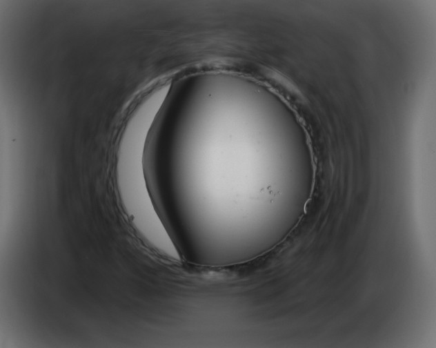 X0000083021160200703021956