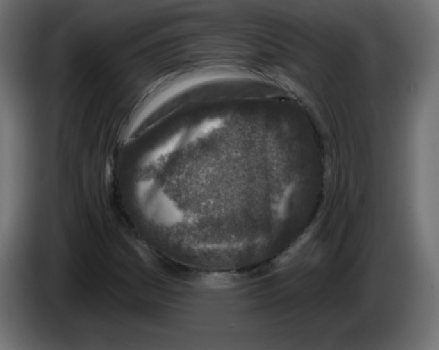 X0000083021161200703021956