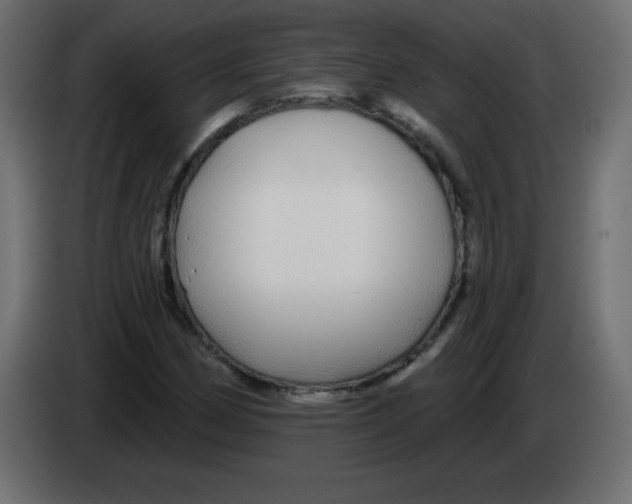 X0000083021162200703021956