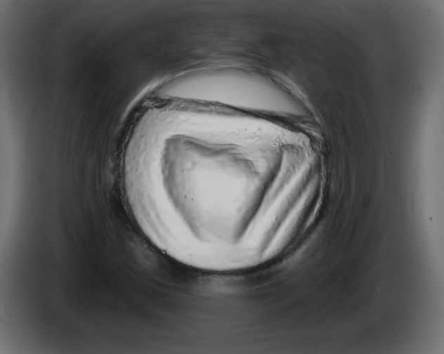 X0000083021163200703021956