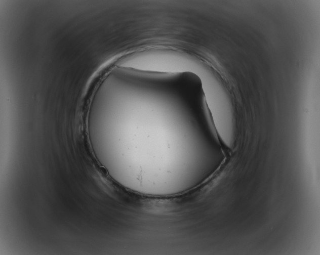 X0000083021164200703021956