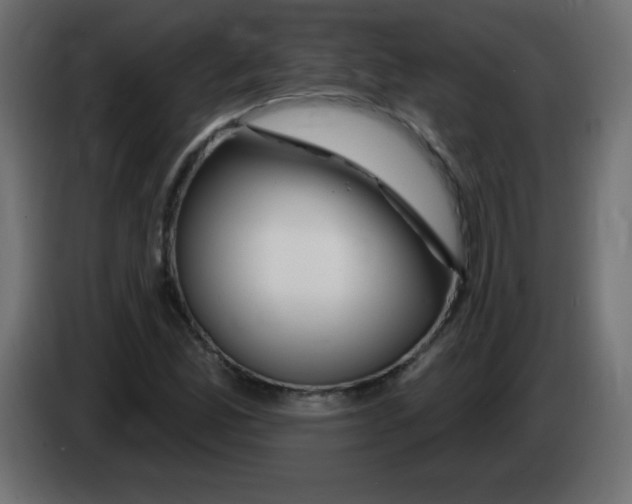 X0000083021165200703021956