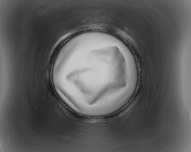 X0000083021166200703021956
