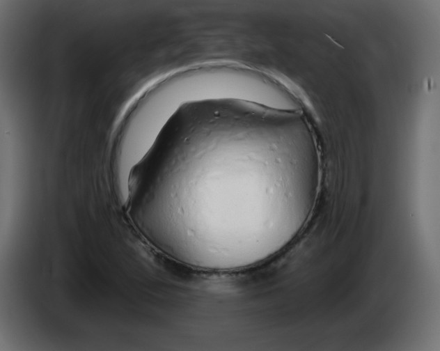 X0000083021167200703021956