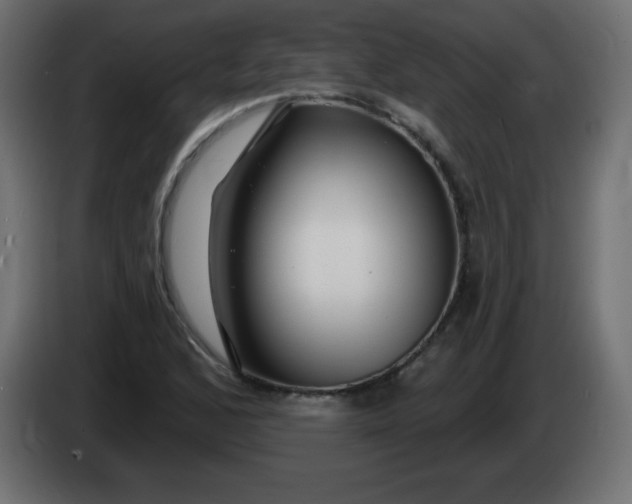 X0000083021168200703021956