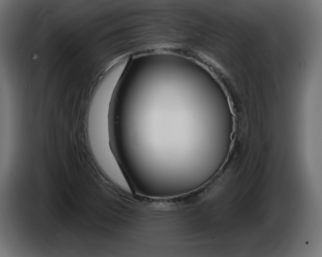 X0000083021169200703021956