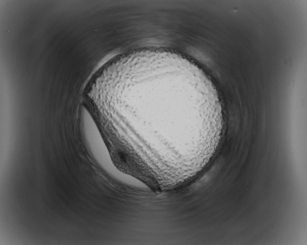 X0000083021170200703021956