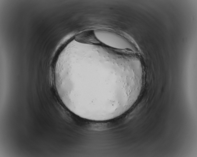 X0000083021171200703021956