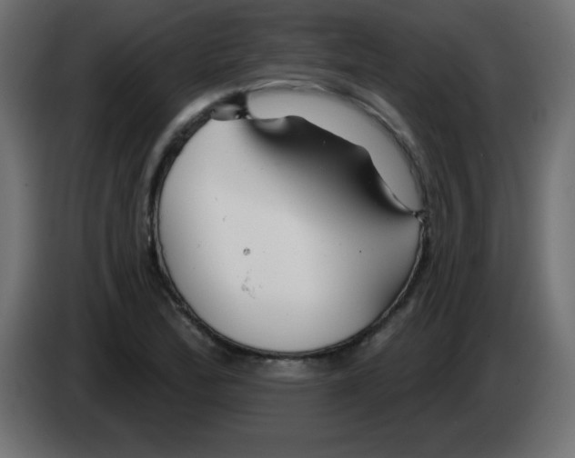 X0000083021172200703021956