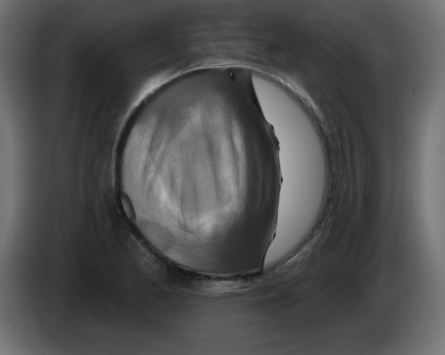X0000083021173200703021956