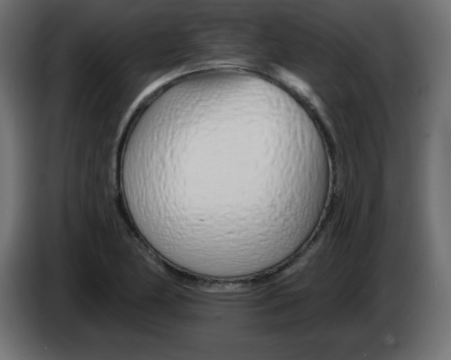 X0000083021174200703021956