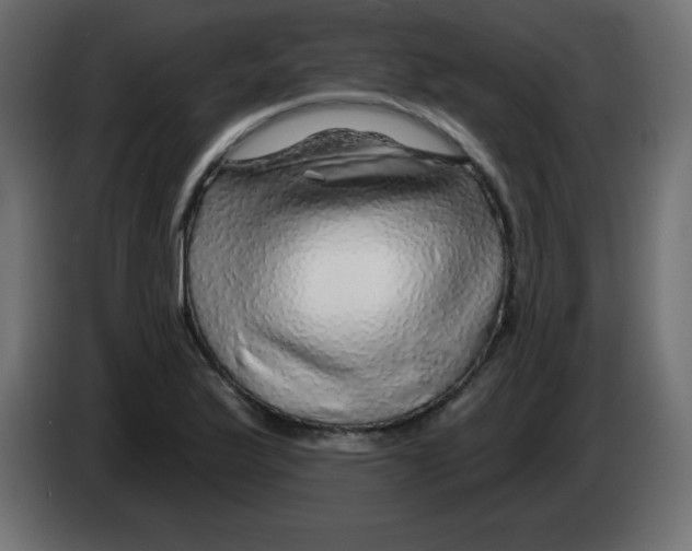 X0000083021175200703021956