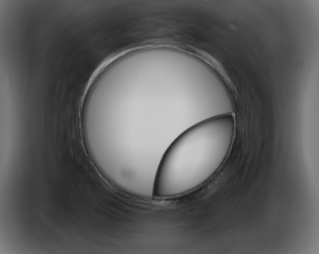 X0000083021176200703021956