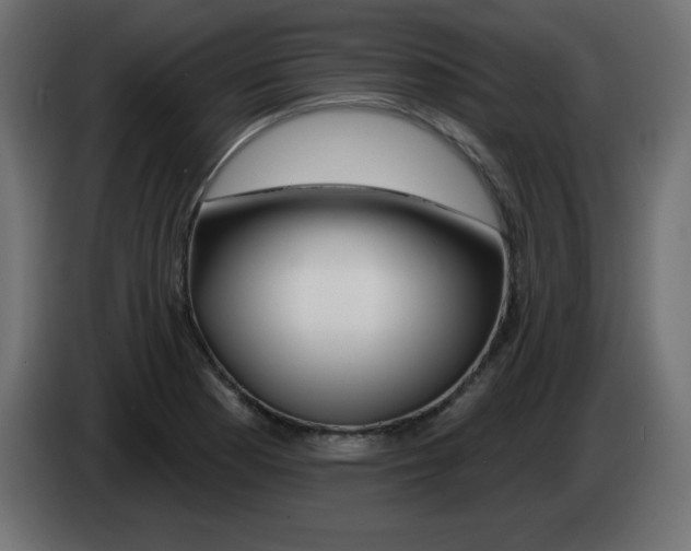 X0000083021177200703021956