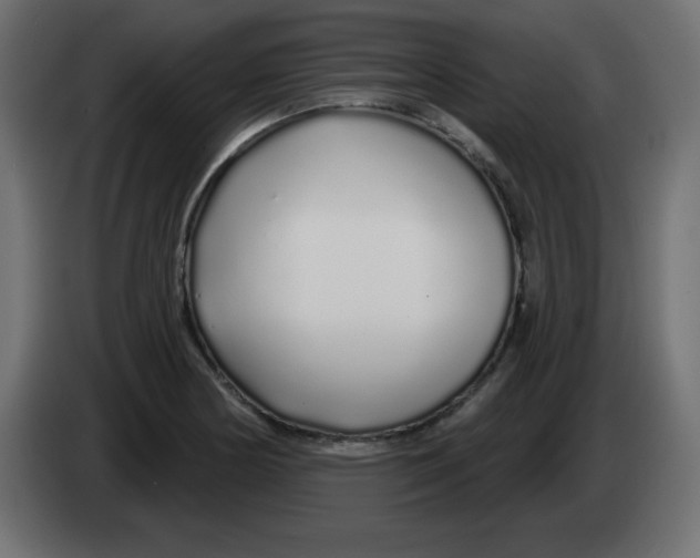 X0000083021178200703021956