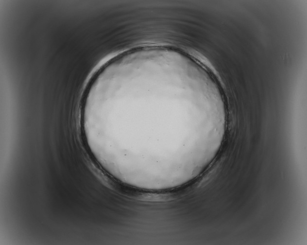 X0000083021179200703021956
