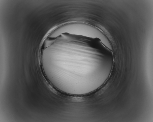 X0000083021180200703021956