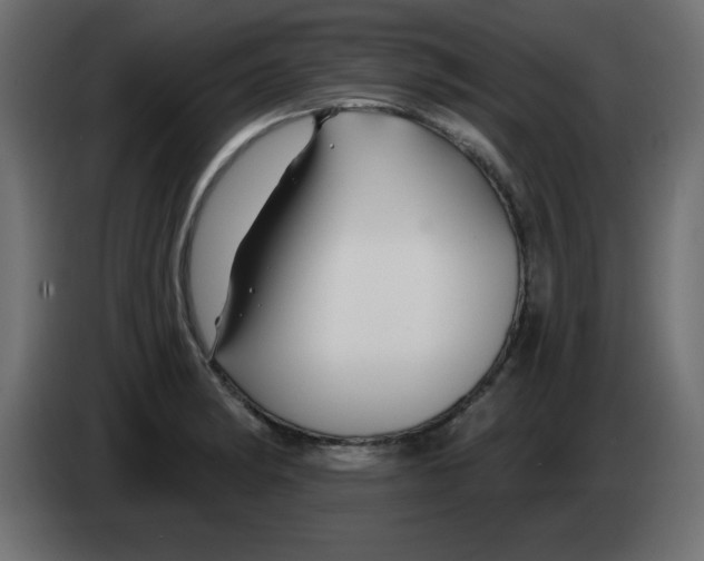 X0000083021182200703021956