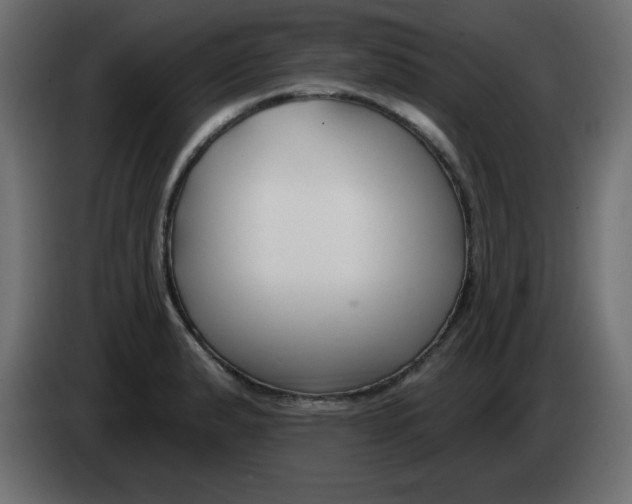 X0000083021183200703021956