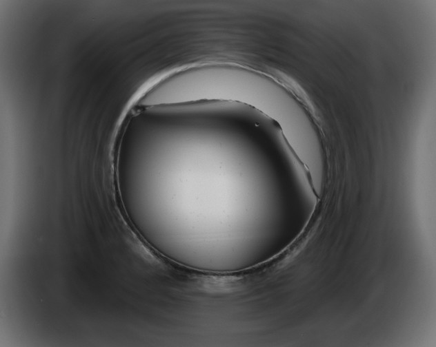 X0000083021184200703021956