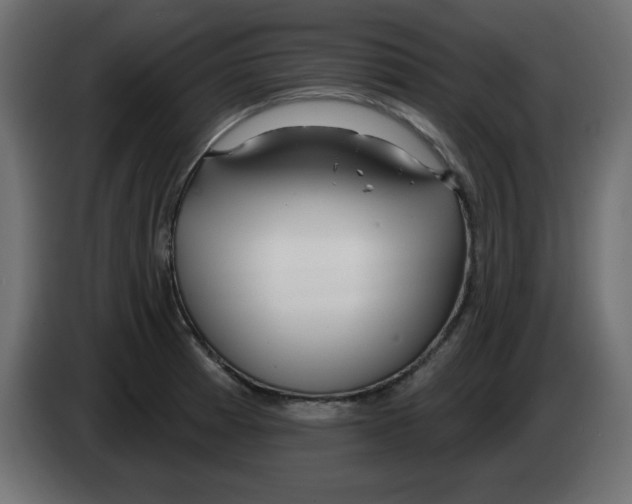 X0000083021185200703021956