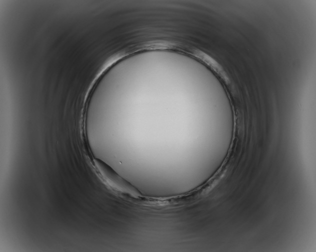 X0000083021186200703021956