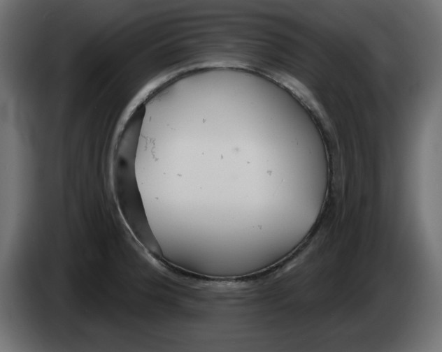 X0000083021188200703021956