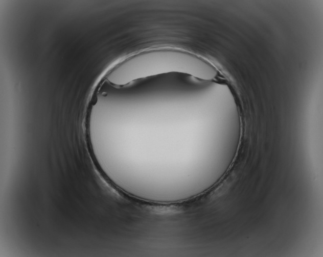 X0000083021189200703021956