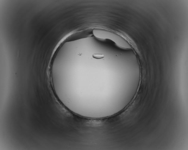 X0000083021190200703021956
