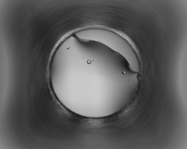 X0000083021191200703021956