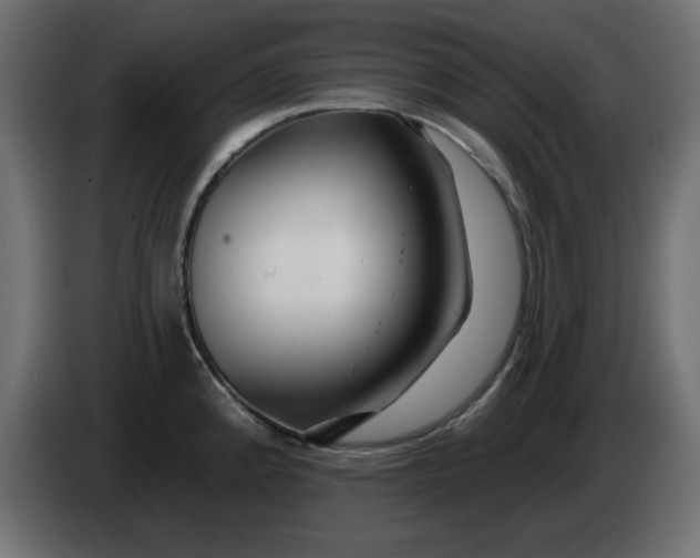 X0000083021192200703021956