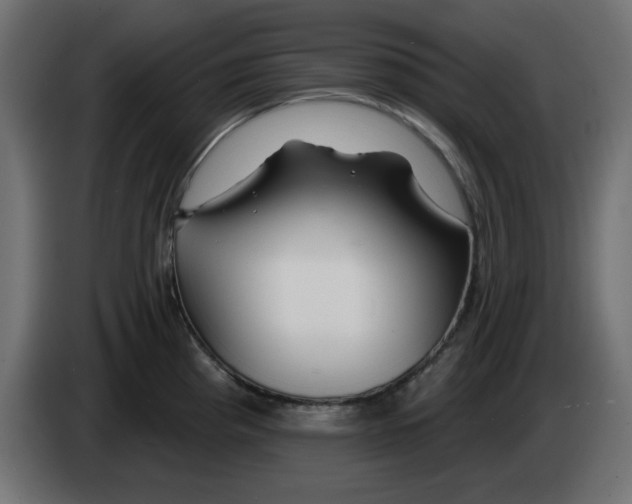 X0000083021193200703021956