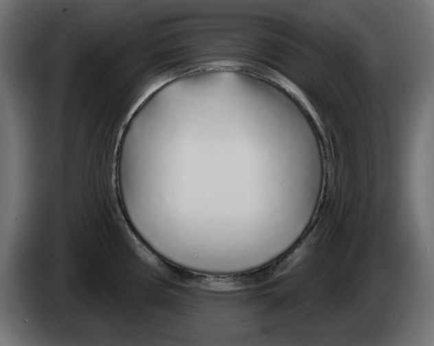 X0000083021194200703021956