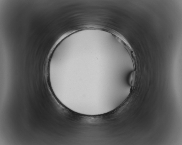 X0000083021195200703021956