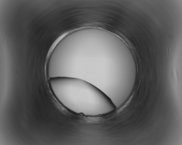 X0000083021196200703021956
