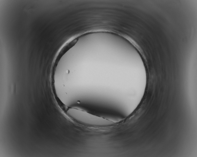 X0000083021197200703021956