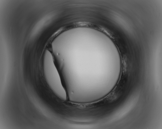 X0000083021198200703021956