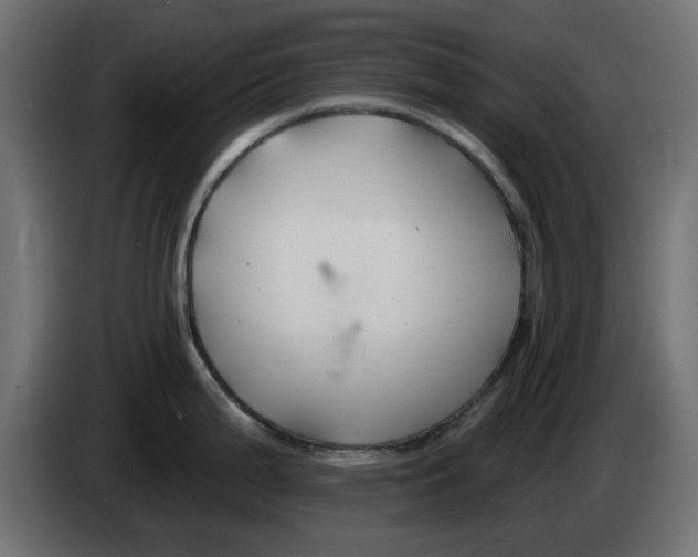 X0000083021199200703021956