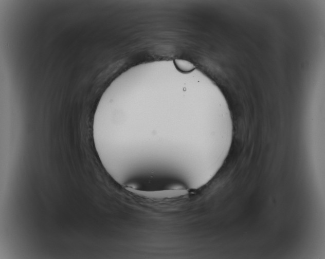 X0000083021201200703021955
