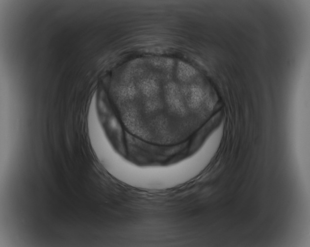 X0000083021202200703021955
