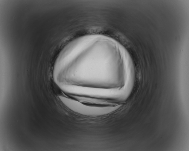 X0000083021204200703021955