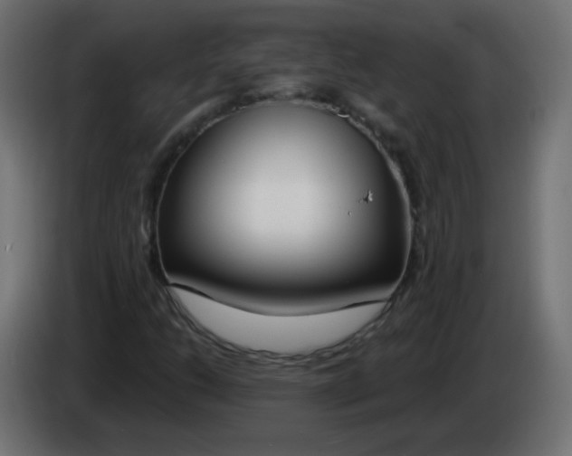 X0000083021206200703021955