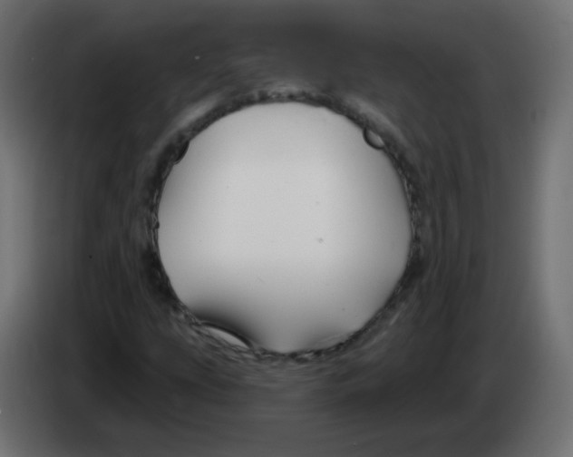 X0000083021207200703021955