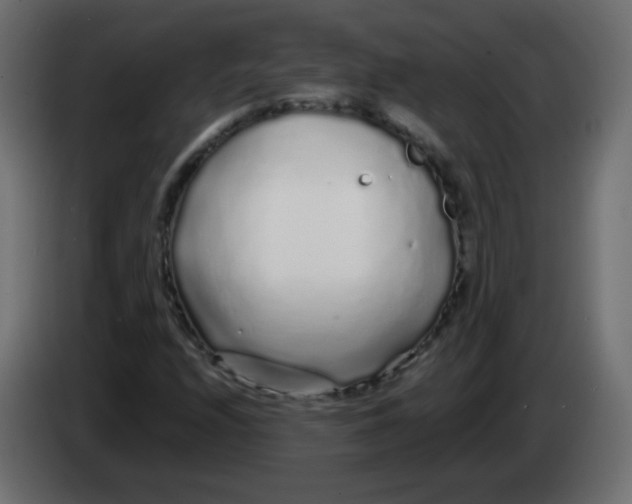 X0000083021208200703021955