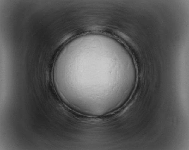 X0000083021209200703021955