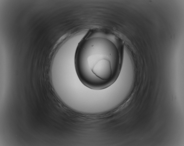 X0000083021210200703021955