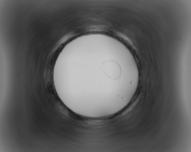 X0000083021211200703021955