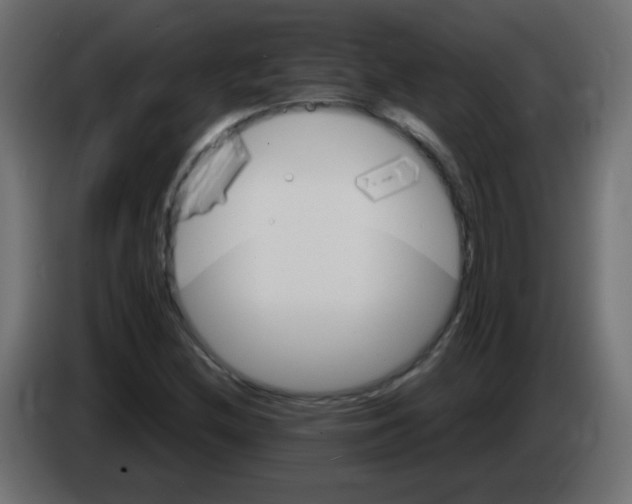 X0000083021212200703021955